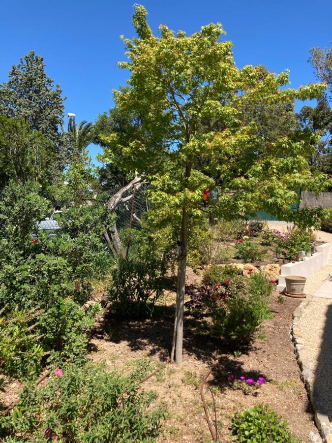 Villa Du Belvedere - La Chambre Mer Saint-Raphael  Ngoại thất bức ảnh